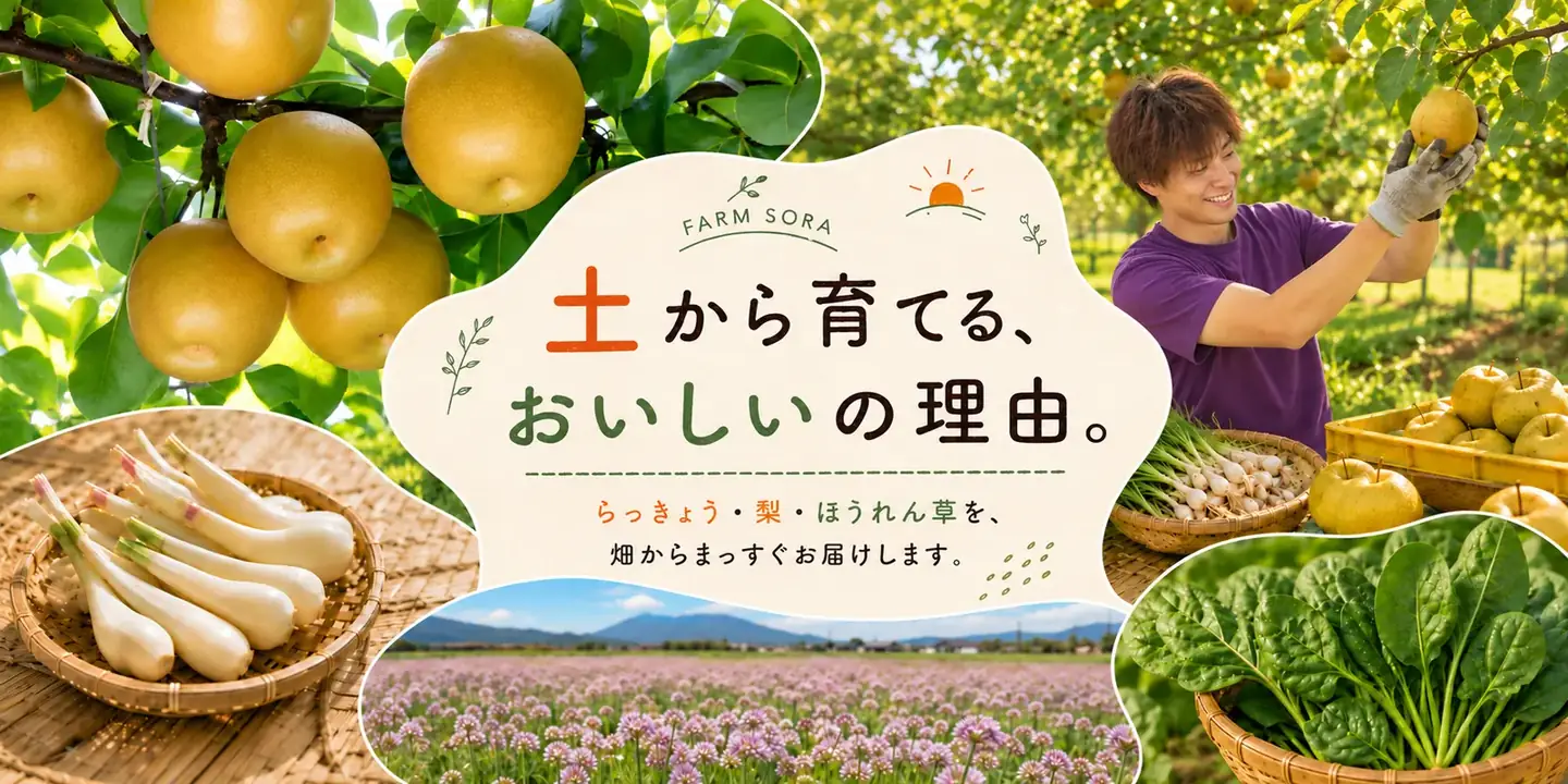 ファームSORA：土から育てる、おいしいの理由。